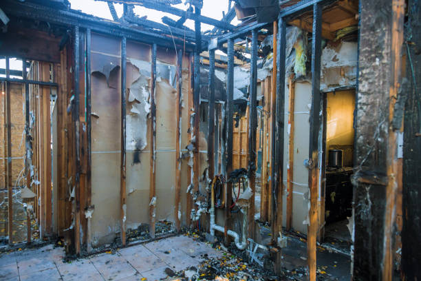 Professional Fire Damage Removal technician working in Scaggsville, MD